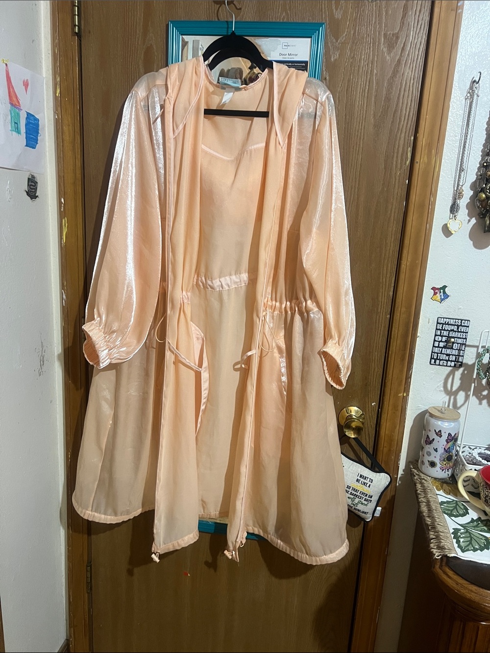 Light Peach Sheer Hooded Trench Coat with Drawstring Waist